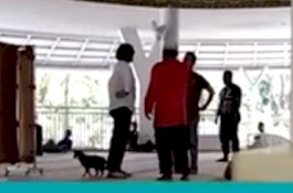 Cari Sang Suami, Alasan Wanita Bawa Anjing ke Dalam Masjid