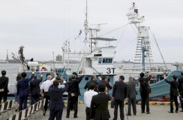 Kapal-kapal Jepang Telah Berangkat untuk Berburu Paus