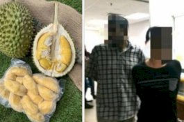 Curi Durian, Pria Ini Dipenjara Satu Hari