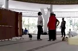 Ini Kata MUI Soal Wanita Bawa Masuk Anjing ke Masjid