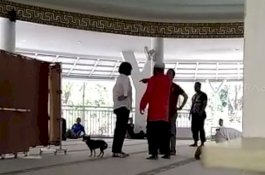 Wanita Pembawa Anjing Masuk Masjid Mengidap Skizofrenia Paranoid, Apa Itu?