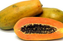 23 Orang Terinfeksi Bakteri Salmonella dari Buah Pepaya Impor