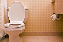 Blokir Toilet Wanita, Pria Ini Dihukum Penjara