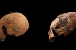 Dari 12 Ribu Tahun Lalu, Tengkorak Lonjong Ditemukan di China