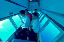 Mendebarkan, Gaya Jokowi dan Ibu Negara Nikmati Bawah Laut Bunaken