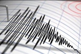 Gempa M 7,1, Warga Ternate hingga Manado Berhambur