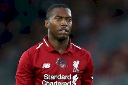 Sayembara Penemu Anjing, Sturridge Siap Bayar Rp500 Juta