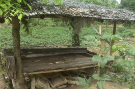 Kasus Pencabulan di Sinjai, Korban: Saya Dipaksa dan Dipukul Kayu