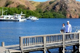 Lihat Warga Membeludak di Pinggir Jalan, Jokowi Turun dari Mobil di NTT