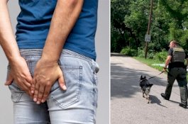 Penjahat Ini Berhasil Sembunyi dari Polisi, Sayang Dia Kentut dengan Keras Sehingga Ditemukan