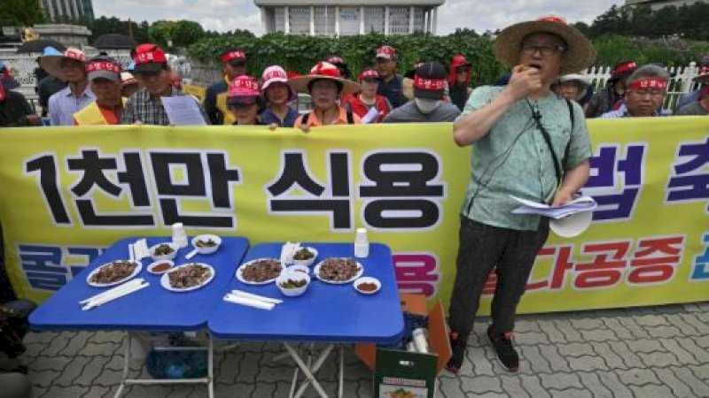 Peternak Protes Makanan Daging Anjing di Korea Selatan