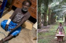 Tiga Pria India Dirantai Majikan Usai Dijanjikan Pekerjaan di Perkebunan Sawit Malaysia