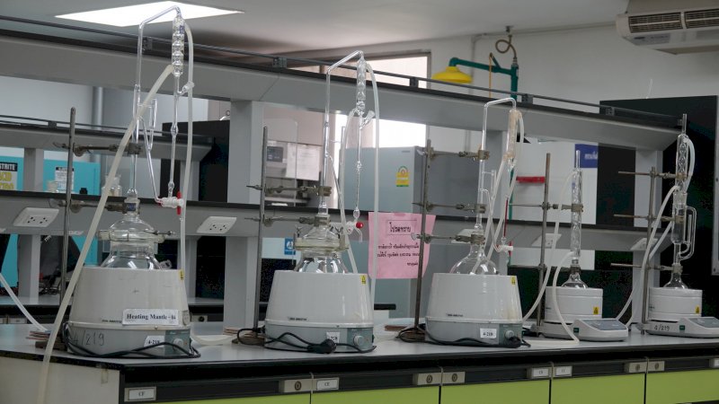 Distributor Minta Menkes Thailand Cabut Larangan Minyak Ganja untuk Kanker