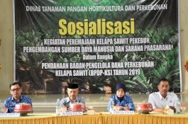 Dinas TPHP Lutra Gelar Sosialisasi Peremajaan Kelapa Sawit