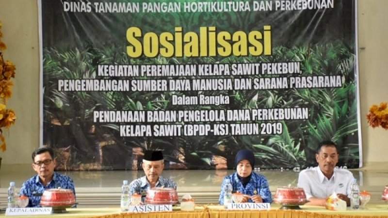 Dinas TPHP Lutra Gelar Sosialisasi Peremajaan Kelapa Sawit