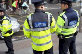 Wanita ini Jadi Penjahat Paling Produktif di Irlandia Dengan 648 Pelanggaran