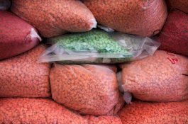 PBB: Aksi Kriminal Transnasional Berkembang di Asia Tenggara