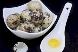 7 Manfaat Telur Puyuh untuk Kesehatan