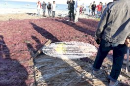 Pria Jeneponto Tersungkur di Atas Jemuran Rumput Laut, Motifnya Diduga Cinta Segitiga