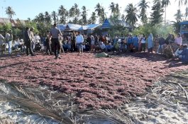 Diduga Gara-Gara Asmara, Dua Pria yang Bertengkar hingga Tewas di Jeneponto Berusia 72 dan 74 Tahun