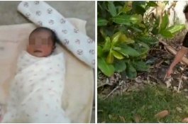 Kucing Mengeong ke Tuannya Lalu Lari ke Bayi yang Baru Lahir di Dekat Tempat Sampah