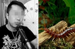 Vlogger Tewas Saat Live Makan Kelabang dan Tokek Hidup