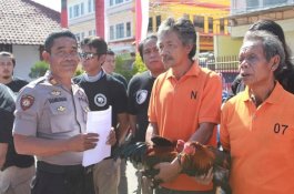 Penjudi Sabung Ayam Asal Gowa Ini Jadikan Ritual Potong Sapi Sebagai Kedok