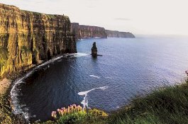 Mahasiswa Tewas Setelah Jatuh ke Tebing Saat Mengambil Selfie