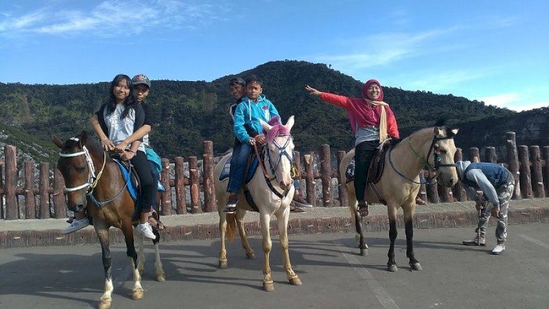 Kuda-kuda di area wisata Gunung Tangkuban Perahu.