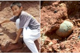 Lagi Main, Bocah 10 Tahun Temukan Telur Dinosaurus