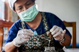 Lendir Siput Kini Digunakan untuk Kosmetik