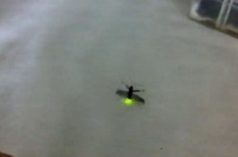 Bercahaya Hijau, Kumbang Ini Berhasil Berevolusi di China