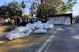 Truk Terguling, Gabah Berhamburan di Jalur Poros Barru