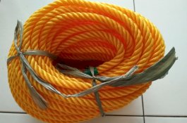 Gagal Bakar Diri, Pria yang Ditinggal Nikah Istri Ini Berakhir di Tali Tambang Kuning