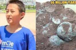 Bocah Tiongkok Temukan 11 Butir Telur Dinosaurus Saat Bermain di Tepi Sungai