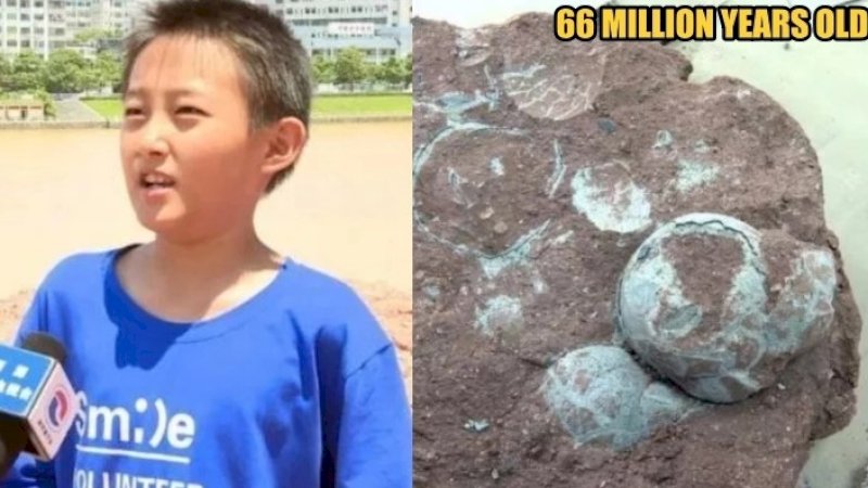 Zhang Yangzhe dan telur dinosaurus temuannya.