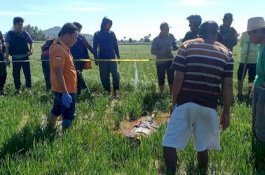 Sumbu Tak Pulang Makan, Istri Cemas, Ternyata Tewas Bersimbah Darah di Tengah Sawah