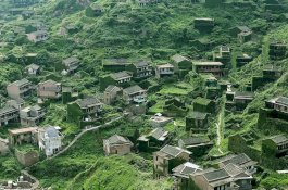 Ditinggalkan 30 Tahun Lalu, Rumah-rumah di Desa ini Kini Ditelan Hutan