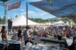 Penembakan Massal di Festival California: 11 Orang Terluka