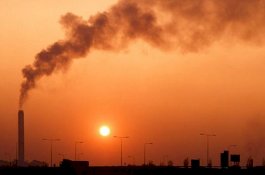 Penelitian Baru: Polusi Membuat Tingkat Kecerdasan Menurun