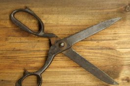 Sadis, Wanita Potong Penis dan Zakar Suami lalu Buang ke Toilet