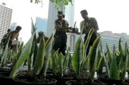 Bukan Lidah Mertua, Cara Ini Paling Ampuh Atasi Polusi Menurut BPPT