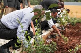 Tanam 350 Juta Pohon dalam Sehari, Ethiopia Pecahkan Rekor Dunia