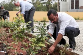 Ethiopia Tanam Lebih 350 Juta Pohon Dalam 12 jam