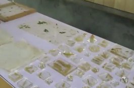 Kotoran Panda Diubah Menjadi Suvenir yang Indah