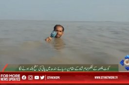 Video Reporter TV Pakistan Melaporkan di Tengah Banjir Setinggi Leher
