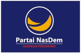 Akan Diganti, Ketua DPD NasDem Selayar: Saya yang Mendirikan dan Membangun