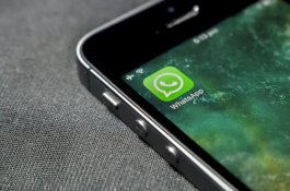 Seperti Ini Fitur Baru yang Digarap WhatsApp