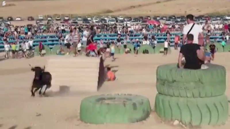 Banteng Mengamuk Serang Pria saat Festival di Spanyol