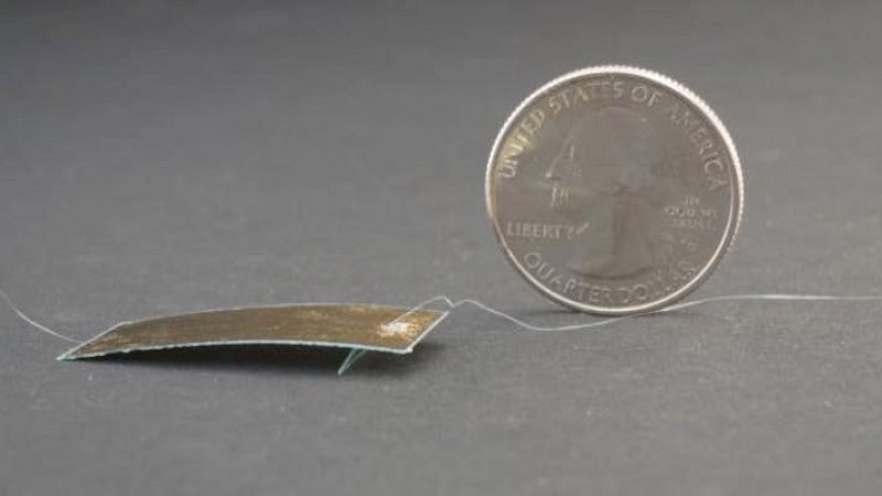 Terinspirasi dari Kecoa, Robot Tipis Ini Mampu Tahan Bobot 60 Kg